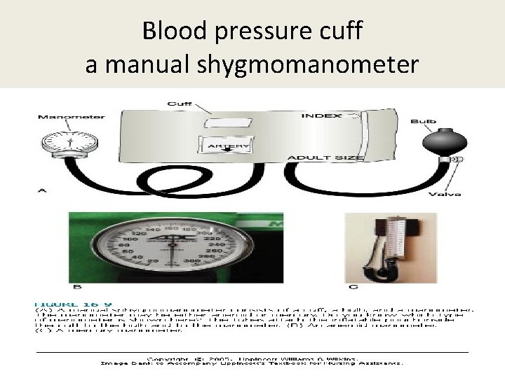 Blood pressure cuff a manual shygmomanometer 