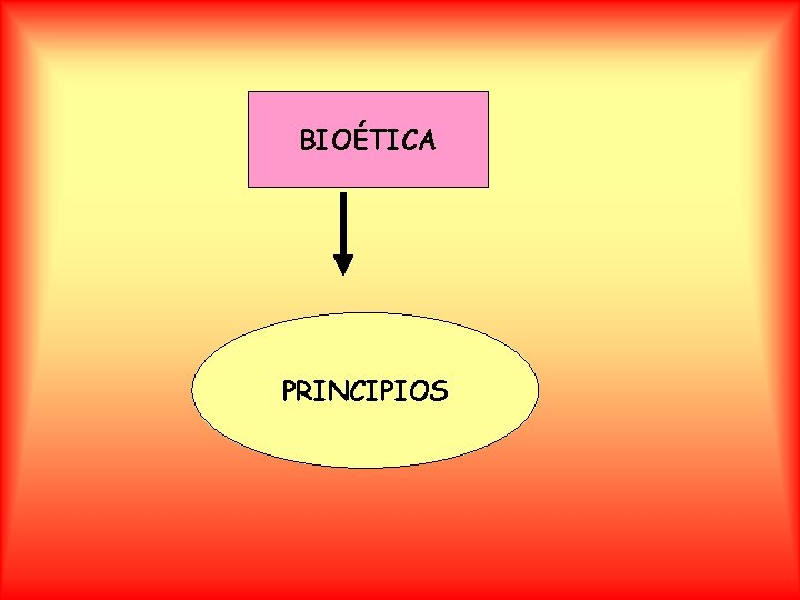 BIOÉTICA PRINCIPIOS 