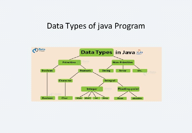 Data Types of java Program 