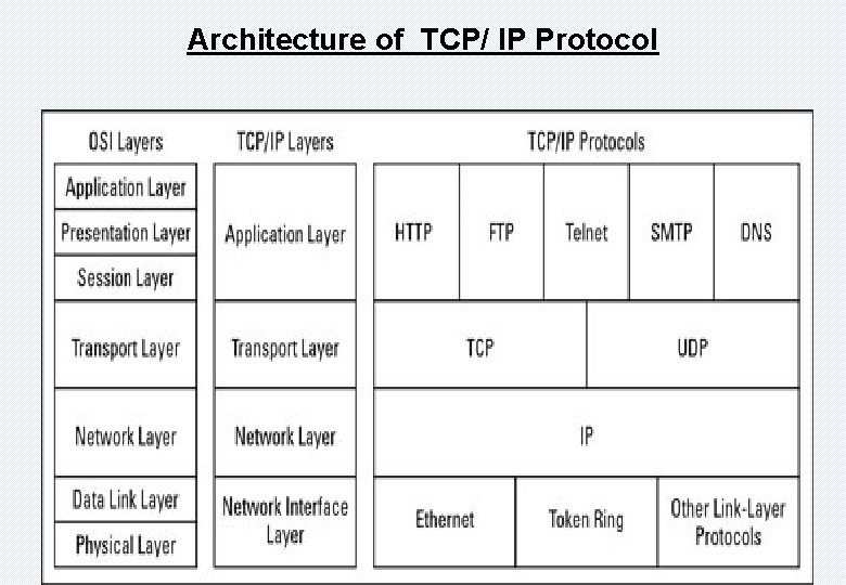 Architecture of TCP/ IP Protocol 