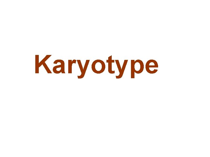 Karyotype 