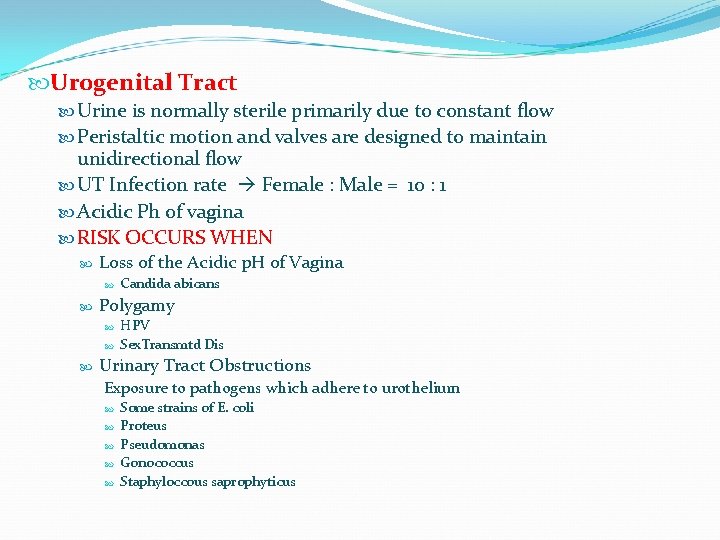  Urogenital Tract Urine is normally sterile primarily due to constant flow Peristaltic motion