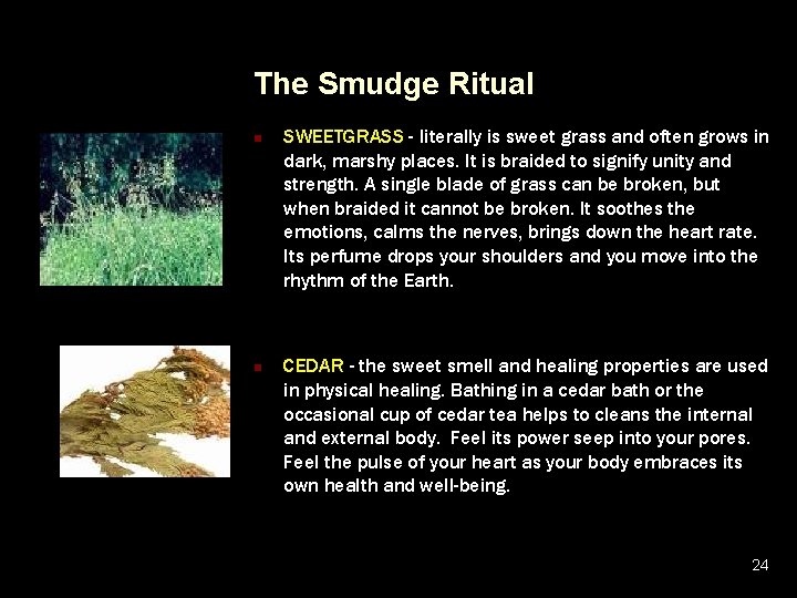 The Smudge Ritual n n SWEETGRASS - literally is sweet grass and often grows