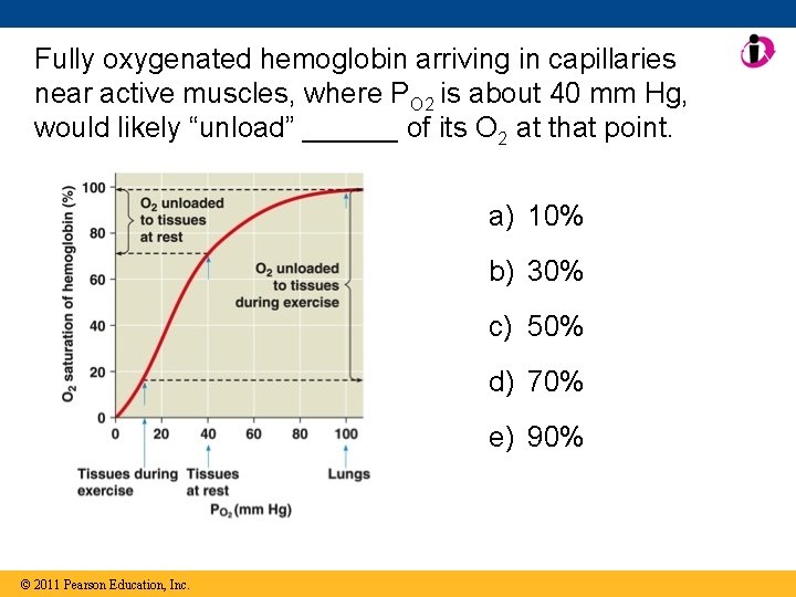 Fully oxygenated hemoglobin arriving in capillaries near active muscles, where PO 2 is about