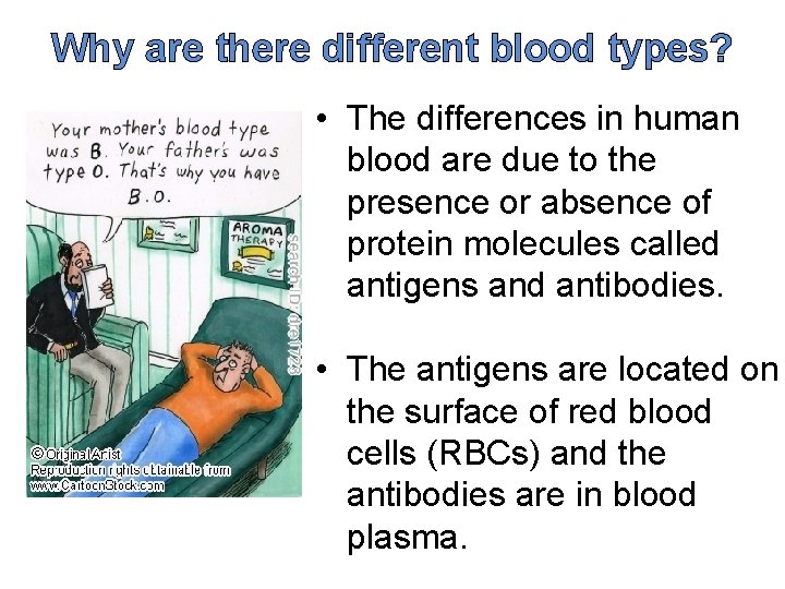 Why are there different blood types? • The differences in human blood are due