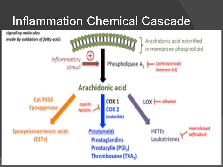 Inflammation Chemical Cascade 