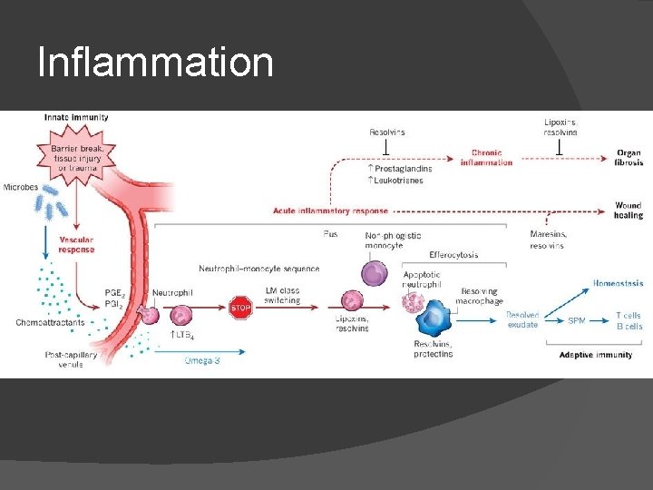 Inflammation Min 