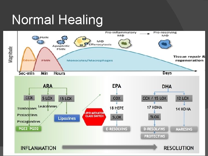 Normal Healing 