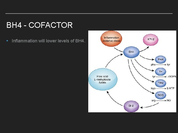 BH 4 - COFACTOR ▸ Inflammation will lower levels of BH 4. 