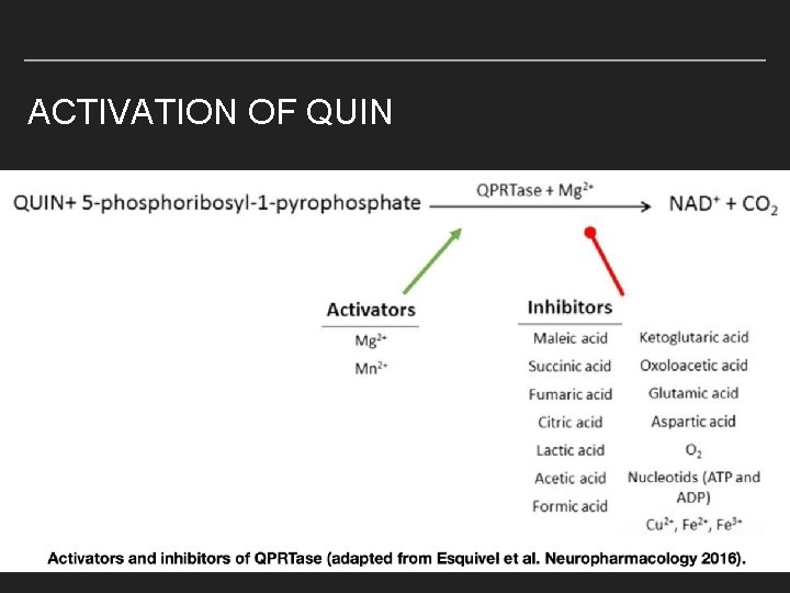 ACTIVATION OF QUIN 