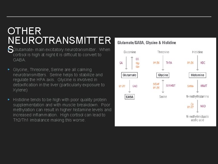 OTHER NEUROTRANSMITTER ▸SGlutamate- main excitatory neurotransmitter. When cortisol is high at night it is