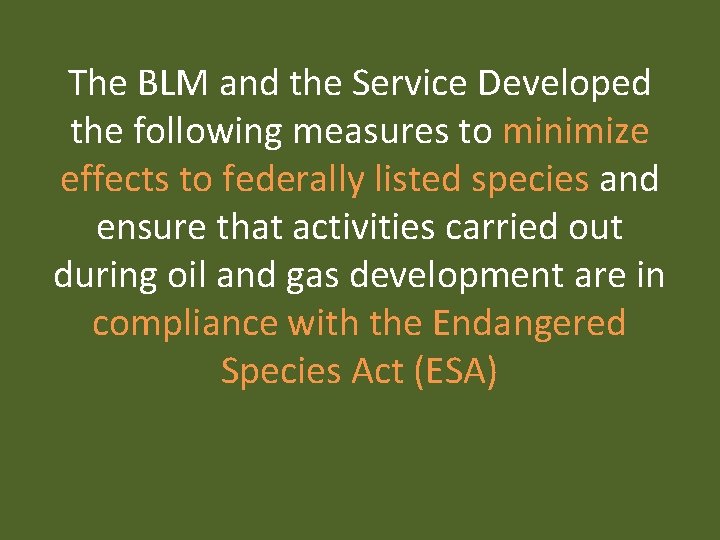 The BLM and the Service Developed the following measures to minimize effects to federally