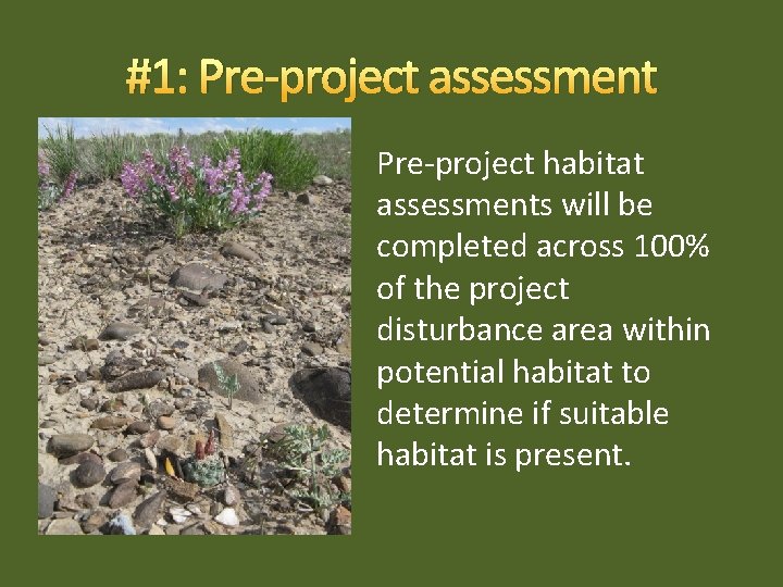 #1: Pre-project assessment Pre-project habitat assessments will be completed across 100% of the project