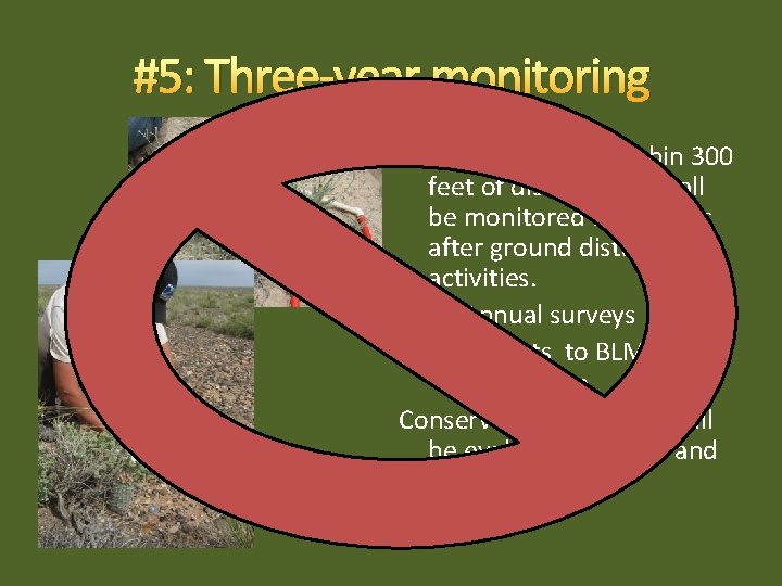 #5: Three-year monitoring Occupied habitats within 300 feet of disturbance shall be monitored for