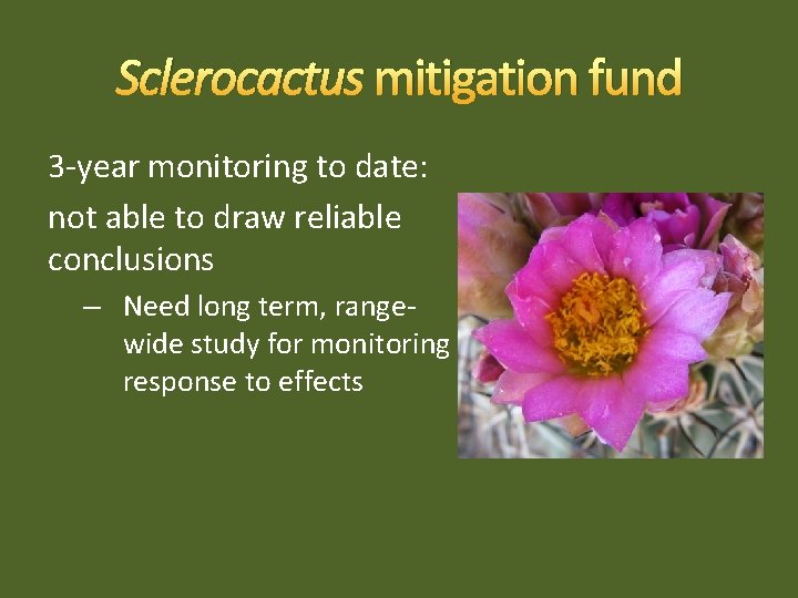 Sclerocactus mitigation fund 3 -year monitoring to date: not able to draw reliable conclusions