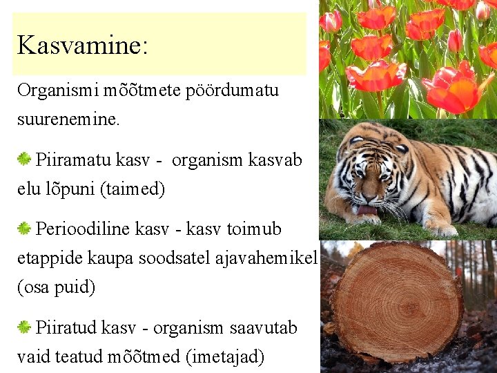 Kasvamine: Organismi mõõtmete pöördumatu suurenemine. Piiramatu kasv - organism kasvab elu lõpuni (taimed) Perioodiline