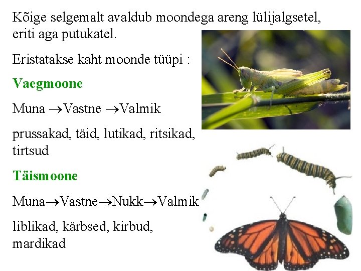 Kõige selgemalt avaldub moondega areng lülijalgsetel, eriti aga putukatel. Eristatakse kaht moonde tüüpi :