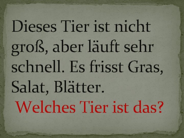 Dieses Tier ist nicht groß, aber läuft sehr schnell. Es frisst Gras, Salat, Blätter.