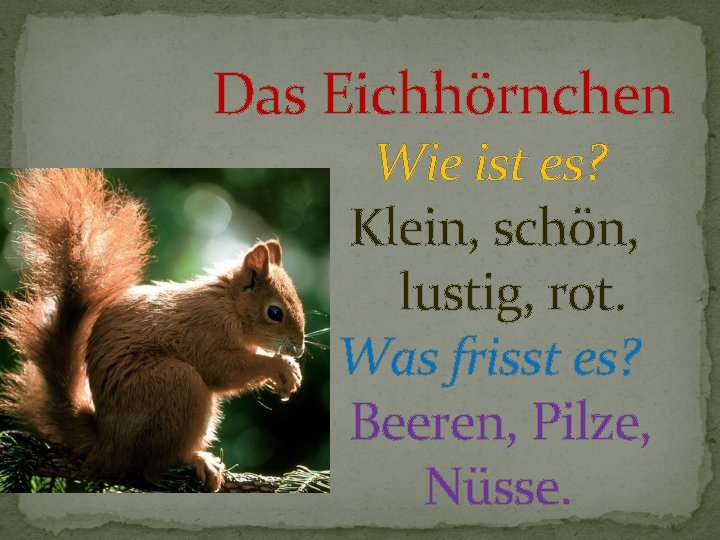 Das Eichhörnchen Wie ist es? Klein, schön, lustig, rot. Was frisst es? Beeren, Pilze,