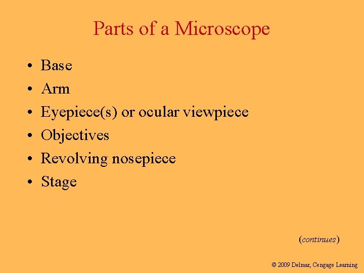 Parts of a Microscope • • • Base Arm Eyepiece(s) or ocular viewpiece Objectives