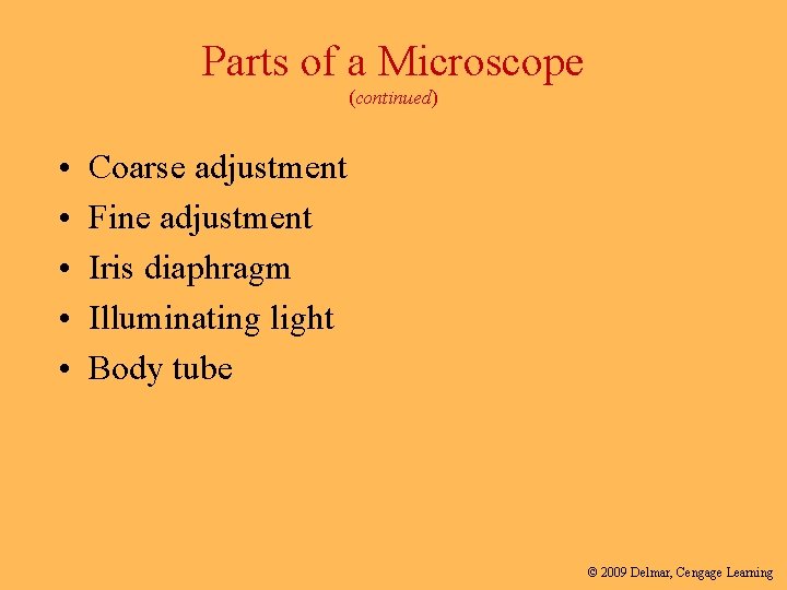 Parts of a Microscope (continued) • • • Coarse adjustment Fine adjustment Iris diaphragm