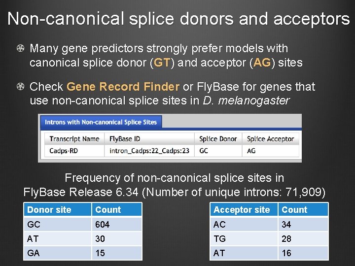 Non-canonical splice donors and acceptors Many gene predictors strongly prefer models with canonical splice