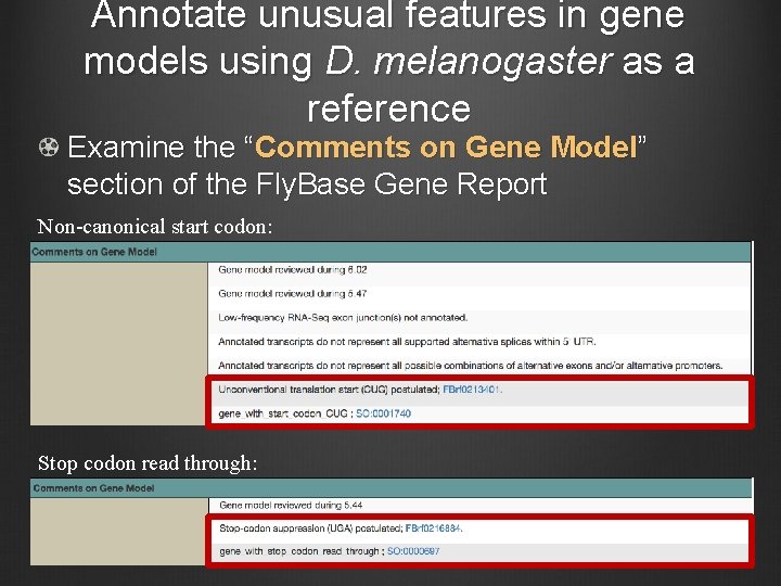 Annotate unusual features in gene models using D. melanogaster as a reference Examine the