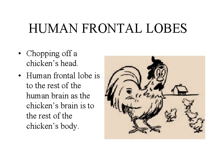 HUMAN FRONTAL LOBES • Chopping off a chicken’s head. • Human frontal lobe is