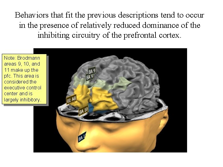 Behaviors that fit the previous descriptions tend to occur in the presence of relatively