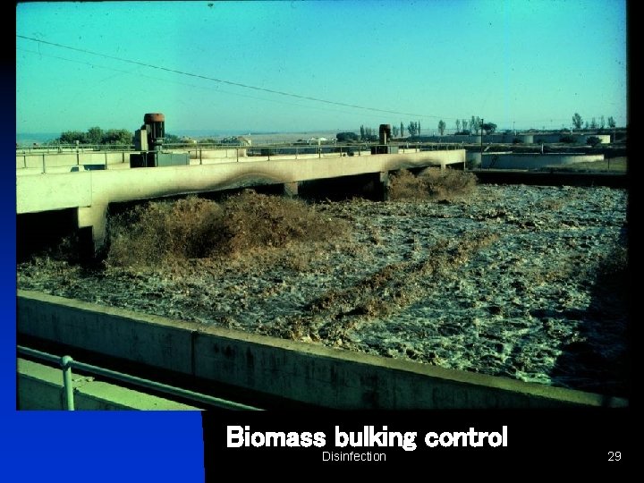 Biomass bulking control Disinfection 29 