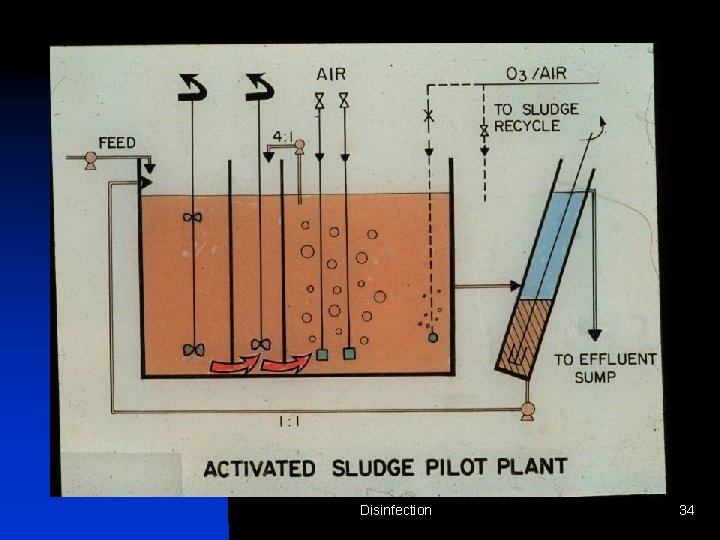 Disinfection 34 
