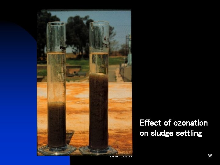 Effect of ozonation on sludge settling Disinfection 35 