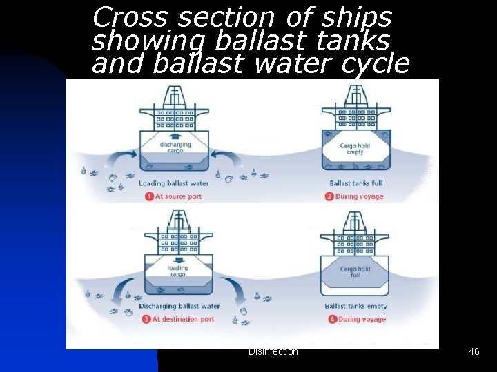 Cross section of ships showing ballast tanks and ballast water cycle Disinfection 46 