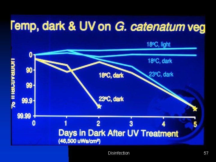 Disinfection 57 