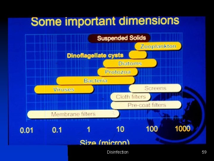 Disinfection 59 