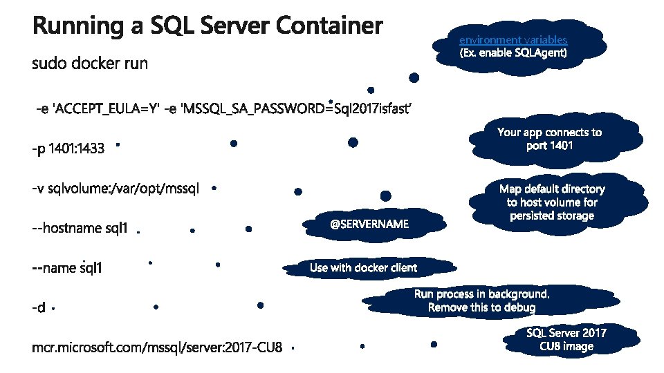 environment variables 