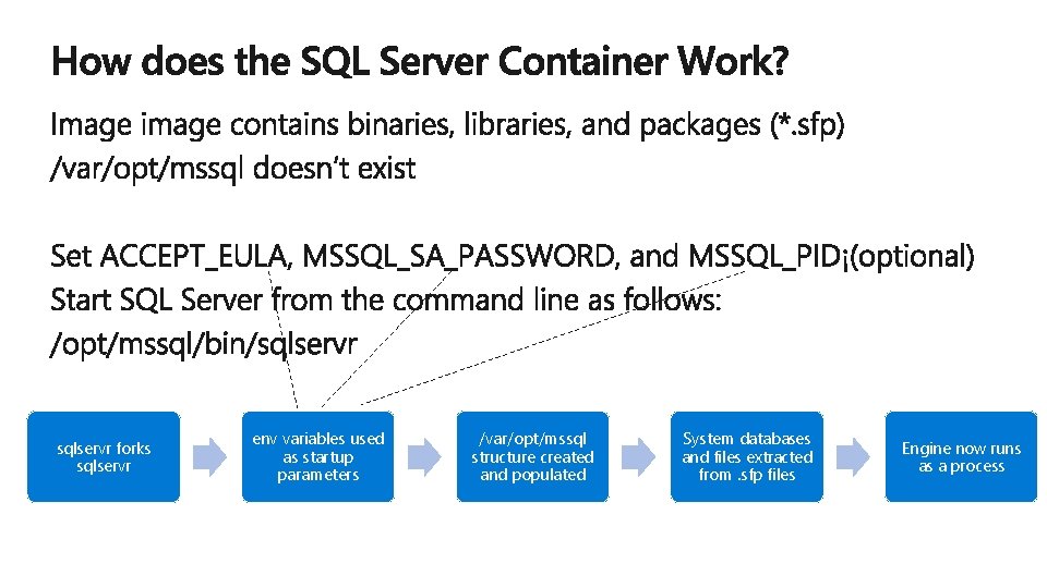 sqlservr forks sqlservr env variables used as startup parameters /var/opt/mssql structure created and populated