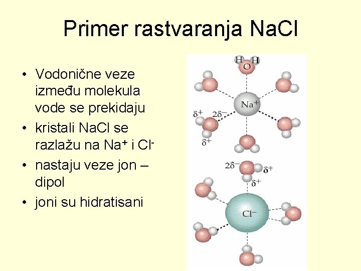 Primer rastvaranja Na. Cl • Vodonične veze između molekula vode se prekidaju • kristali