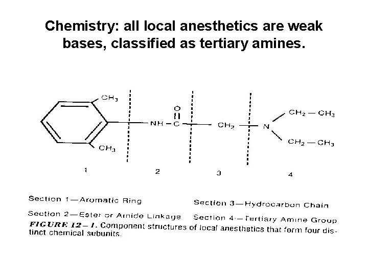  Chemistry: all local anesthetics are weak bases, classified as tertiary amines. 