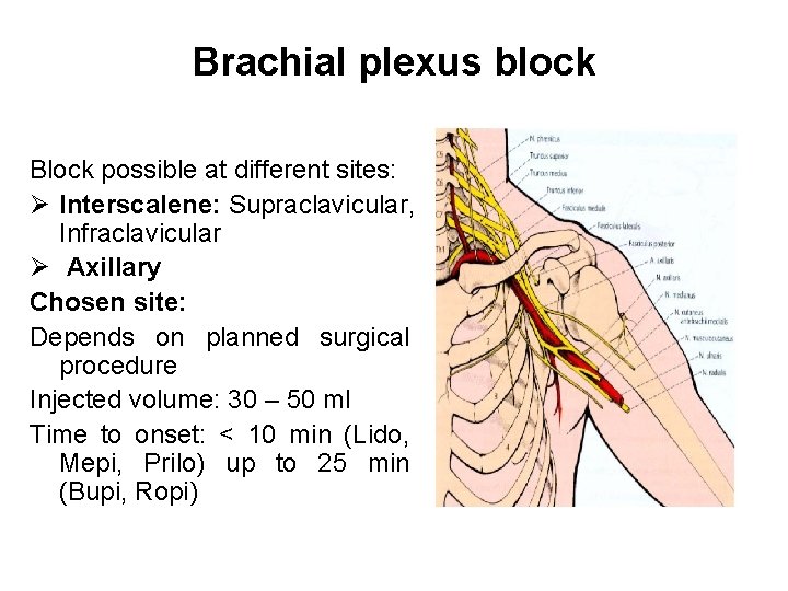 Brachial plexus block Block possible at different sites: Ø Interscalene: Supraclavicular, Infraclavicular Ø Axillary