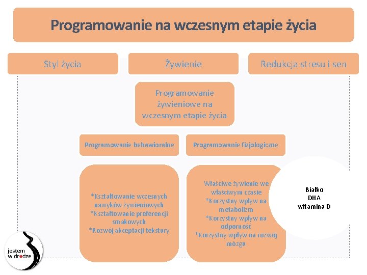 Programowanie na wczesnym etapie życia Styl życia Żywienie Redukcja stresu i sen Programowanie żywieniowe