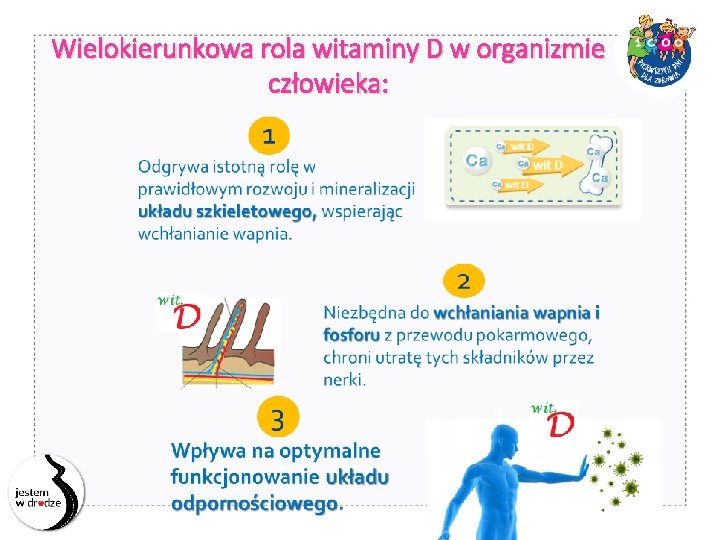 Wielokierunkowa rola witaminy D w organizmie człowieka: 