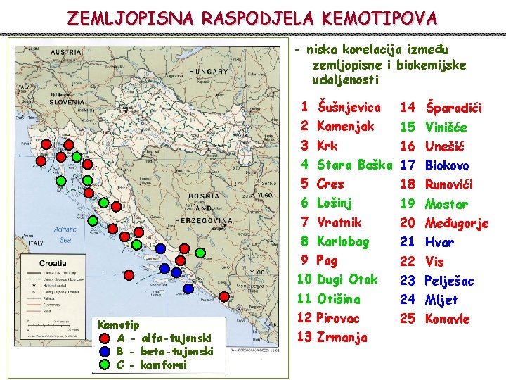 ZEMLJOPISNA RASPODJELA KEMOTIPOVA - niska korelacija između zemljopisne i biokemijske udaljenosti 1 Šušnjevica 14