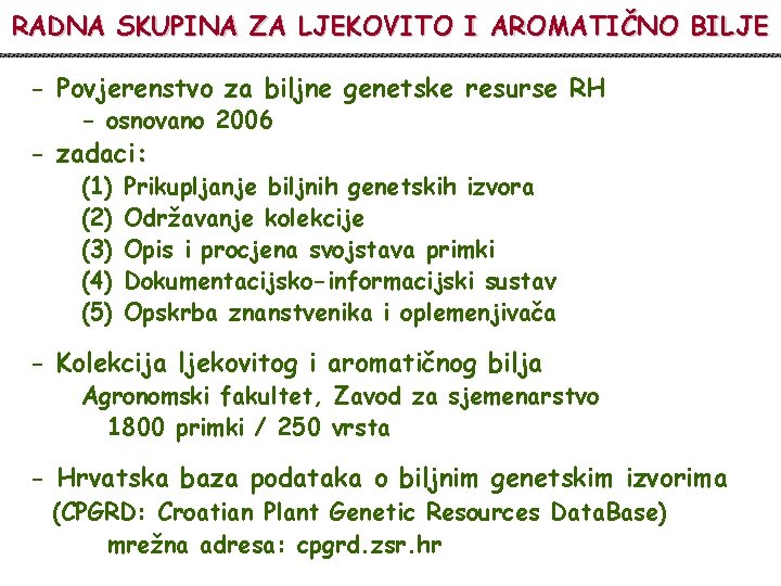 RADNA SKUPINA ZA LJEKOVITO I AROMATIČNO BILJE - Povjerenstvo za biljne genetske resurse RH