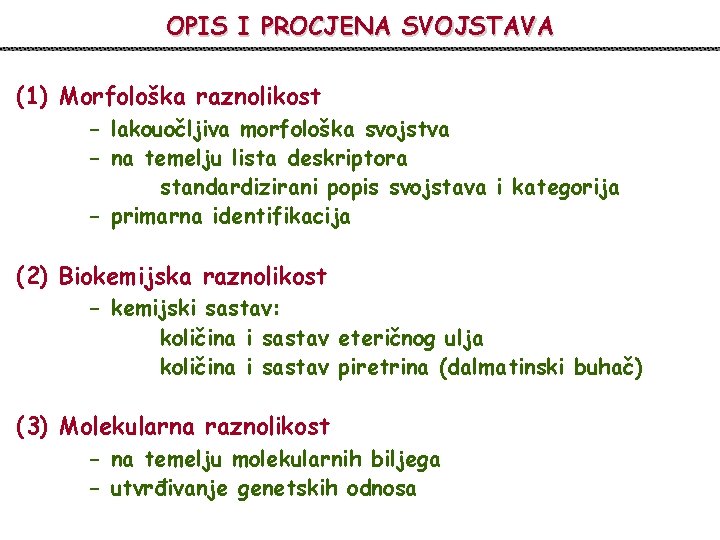 OPIS I PROCJENA SVOJSTAVA (1) Morfološka raznolikost - lakouočljiva morfološka svojstva - na temelju