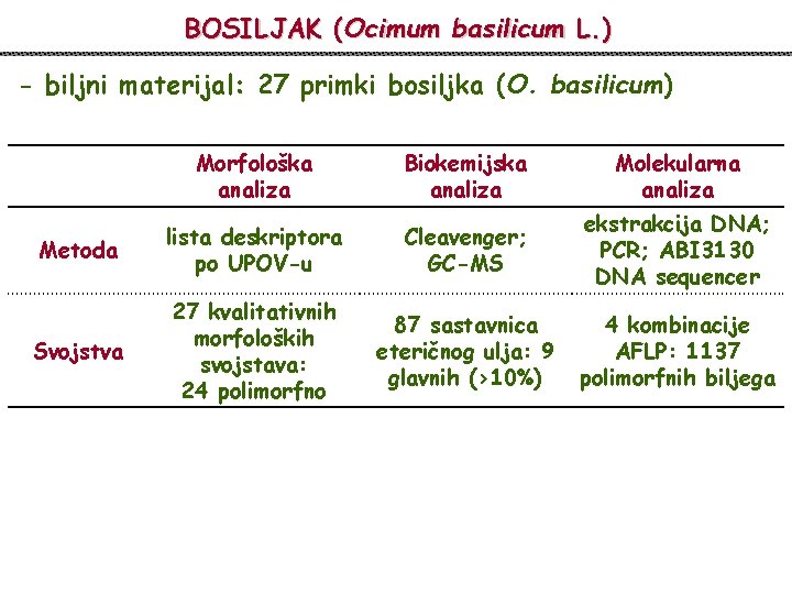 BOSILJAK (Ocimum basilicum L. ) - biljni materijal: 27 primki bosiljka (O. basilicum) Morfološka