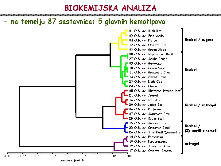BIOKEMIJSKA ANALIZA - na temelju 87 sastavnica: 5 glavnih kemotipova 01 O. b. cv.