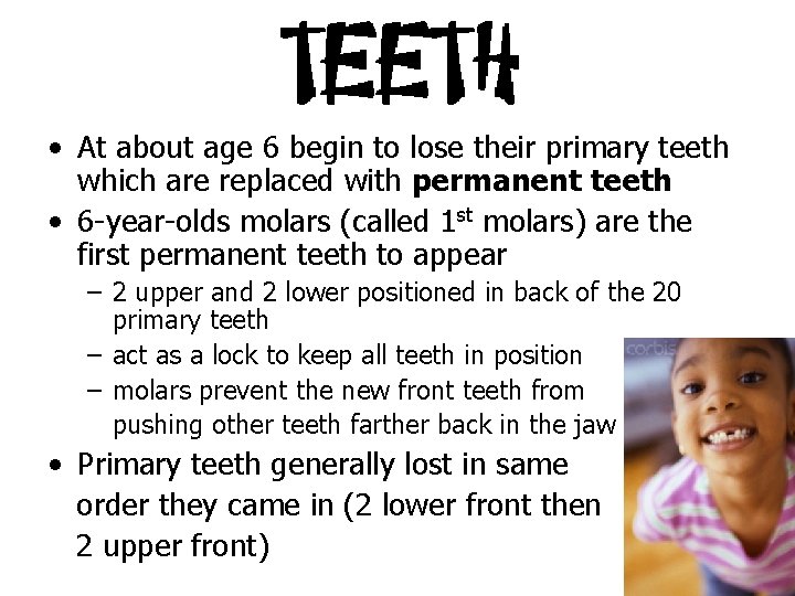  • At about age 6 begin to lose their primary teeth which are
