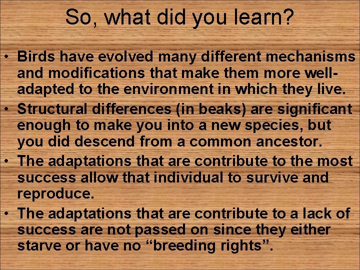 So, what did you learn? • Birds have evolved many different mechanisms and modifications