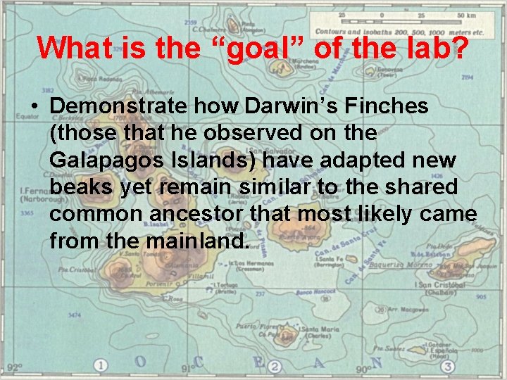 What is the “goal” of the lab? • Demonstrate how Darwin’s Finches (those that